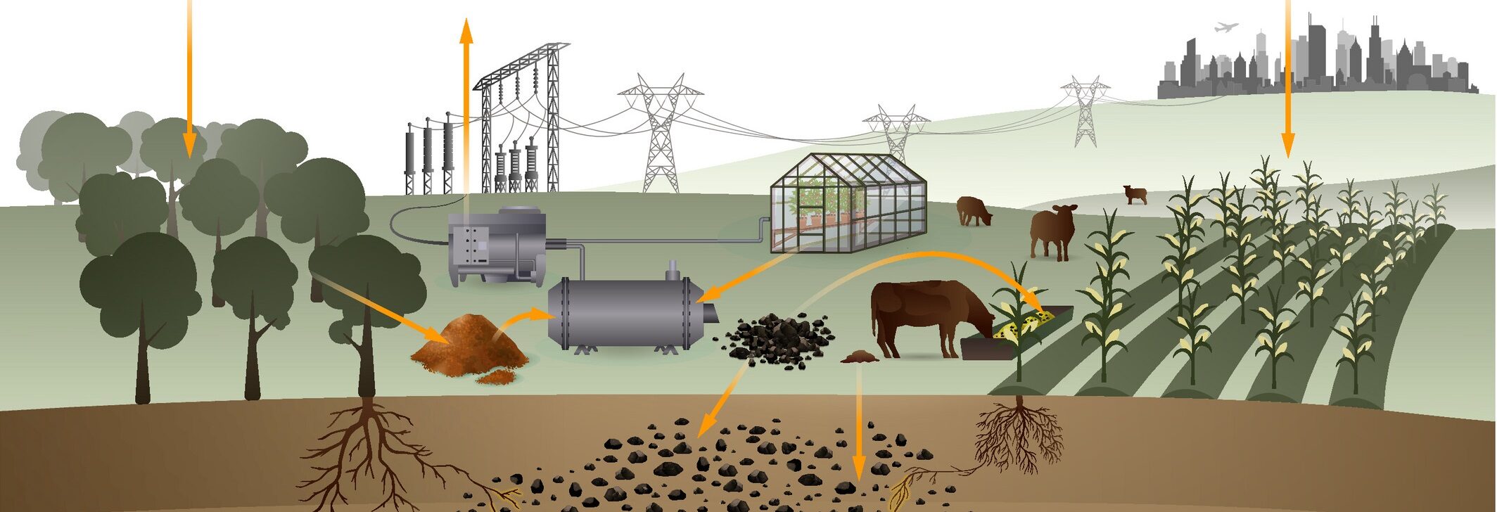 Source: GCB Bioenergy - 2021 - Joseph - How biochar works and when it doesn t A review of mechanisms controlling soil and plant.pdf